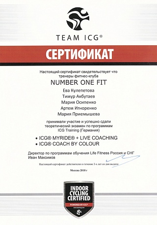 Сертификат от компании Team ICG